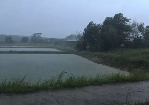 长方形池塘风水,方形池塘的风水禁忌