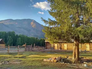 禾木晨雾小屋，邂逅仙境，入住即享仙境晨雾体验！