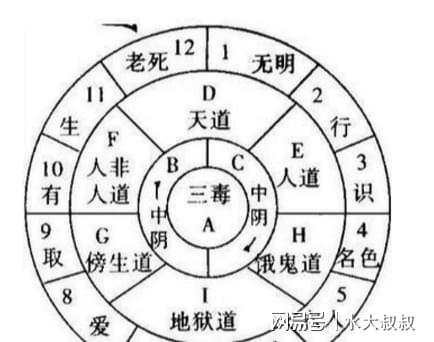 八字算命、三世因果、三世轮回、六道因果之间有何关联，能否揭示命运轮回的奥秘？