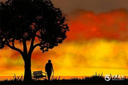 健康运势：保温杯里泡枸杞够吗？