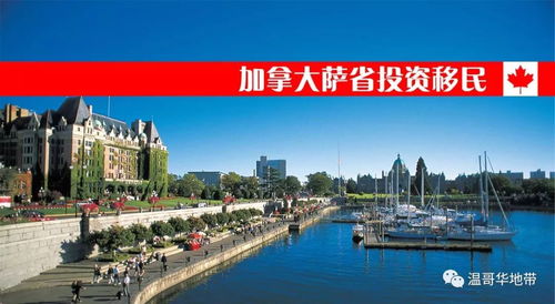 对比分析：就业机会篇（乱序）
