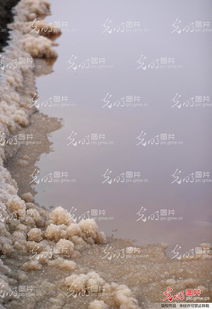 保障周边环境与文明旅行