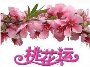 先说点背景， 先说点干货