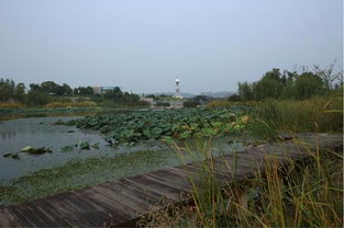 1. 黄花塘风景区