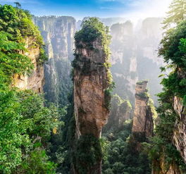 三、实用Tips：怎么把这趟“烂”旅行玩出花样？🌸🌼🍃