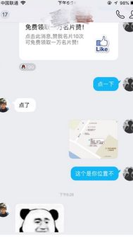 如何通过手机号精准查询个人命格信息？