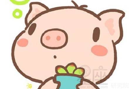 2007年属猪的人2026年运势如何，与蛇年有何关联？