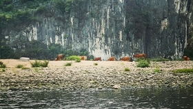 七、一下我也不知道了啥