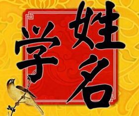 传统方式说法？那是老掉牙了