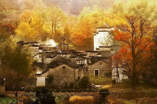 赶大集：寻找人间烟火气
