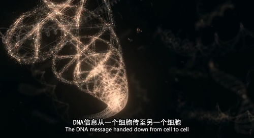 风水角度的分析