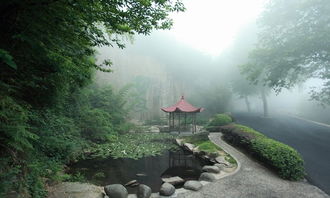 最佳观景地：塔楼山观景台（别叫塔山）