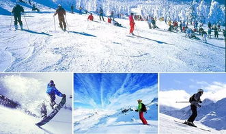 2.2 哈尔滨北较大荒现代化农业生产园滑雪场：农业生产与冰雪的恐怖结合