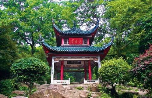 岳麓山：历史的见证， 也是我的“回忆杀”