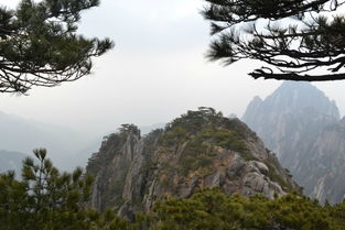 其他。(二)本公司在 黄山景区内经营设施如因维修整改等原因……