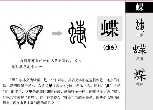 为哪些蝶字这么受欢迎？别问我，问我老婆！