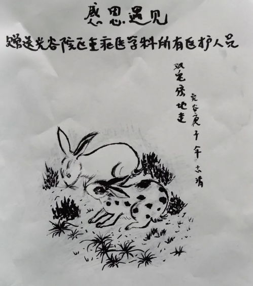 名字的意义，像一盘乱糟糟的菜盘