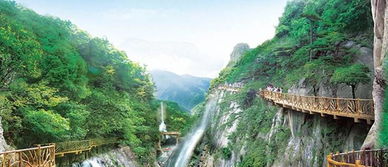 2.2 我是怎么调查这个骗子的