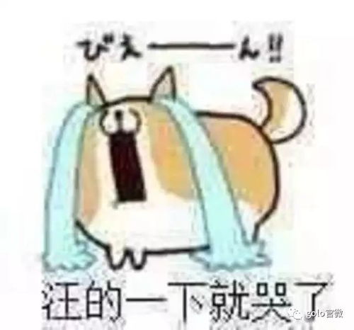 情感体验解析：共鸣还是尴尬