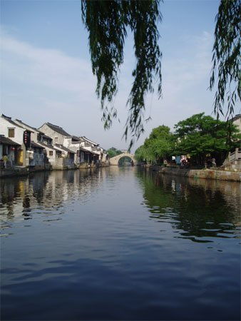 二、 奇怪的桐庐——莫干山+彩虹路面+野猪出没