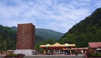 哎呀，说起黎坪景区一日游，我的心情真的是五味杂陈啊！