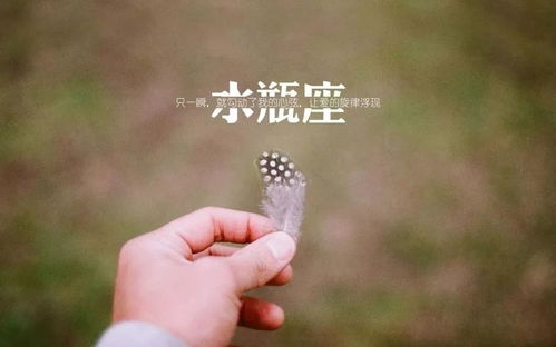 双子的精分日常