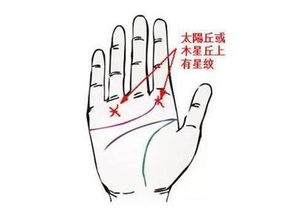 如何在线进行手相智能测试，查看手相分析结果？