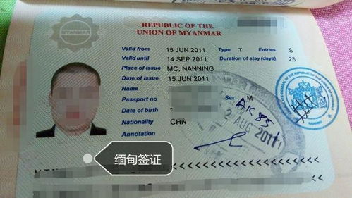 一、先说到底是“复杂”还是“简单”？