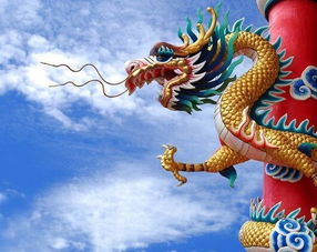 1975年属龙和75年属兔的运势和财运分别如何？