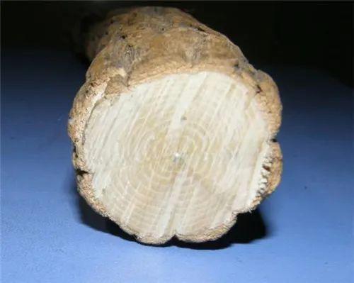 火龙木是否具有辟邪功效？九道木与六道木，哪一种更有效？