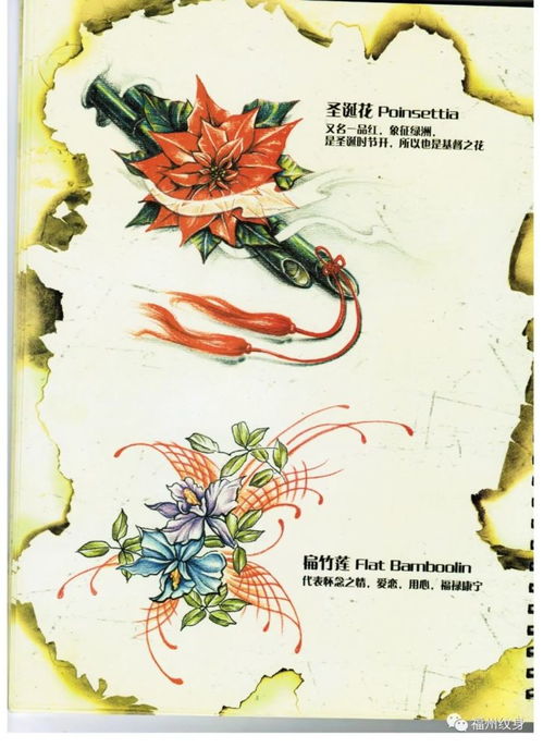 花指什么生肖，雪指什么生肖，这两个生肖分别指的是什么？