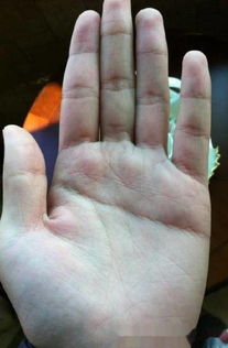 怎样的手相特征预示着婚姻容易离异？