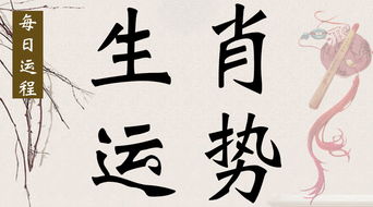 丁日逢壬寅流年运势如何？十二生肖流年运势详解？