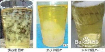 三、生肖配对与生育：“鼠年生女”是不是一定聪慧伶俐，“牛年生男”一定勤劳无畏？”到底是真实是虚假？