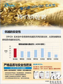 择吉原则：不得不说的秘密