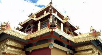 给想去受罪的朋友一点乱七八糟的建议