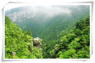 米仓山：植物的天堂