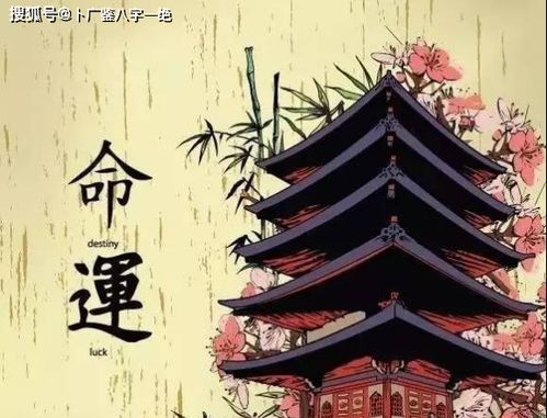八字中禄多被大运冲，明禄暗禄并存，这种情况该如何解读？