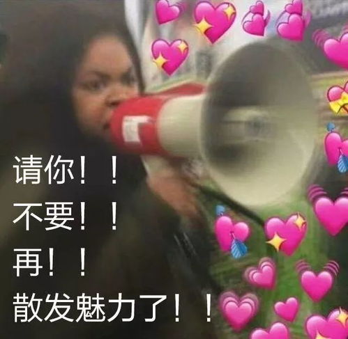 “风俗爆款，一搜即达！”
