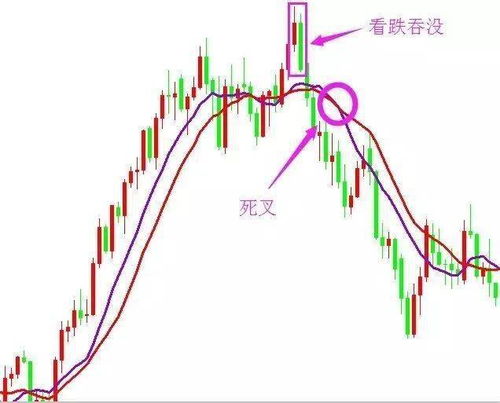 文学作品中的体现：歌颂和谐与明智的人生观