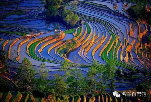 南沙红河谷炎热带风景区：炎热带风情与民族文化底蕴的融合