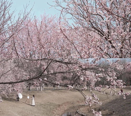 四、吃吃喝喝不能少