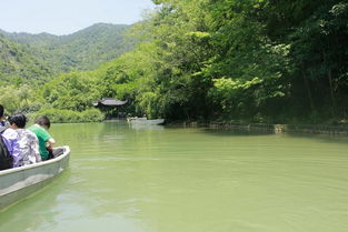 救命啊！这些避暑胜地简直凉到发疯！