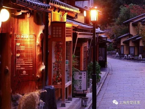 夜晚骑行：灯光与雾霭混合体