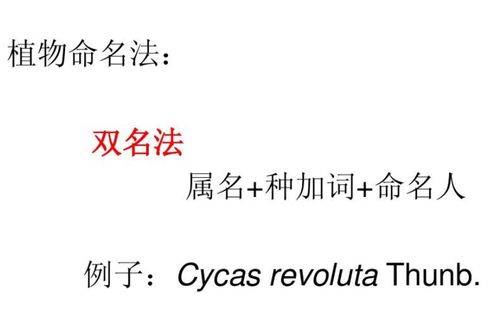 二、起名原则：避免敏感 + 寓意美良好