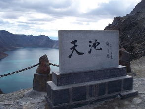 较高较大山花园：迷失在花海中的时间段流转