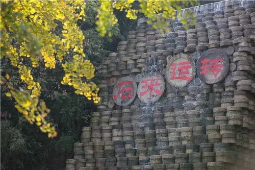 漫步画廊：柴河一百公里画廊