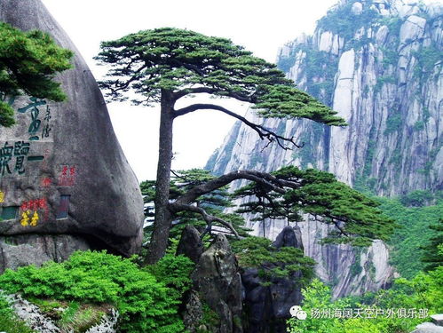 第三站：宏村与西递双沉重体验