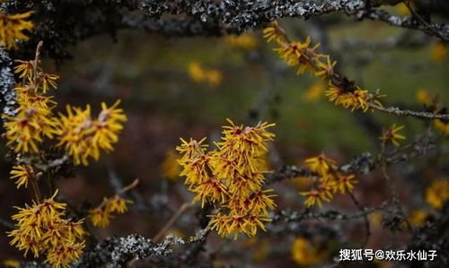 哪些星座分手后难以释怀，容易旧情复燃，对前任死心无望？