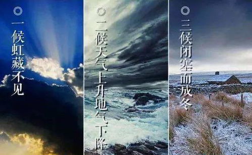 冬日序曲，小雪风俗传承爆款来袭！